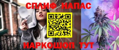стаф Заводоуковск