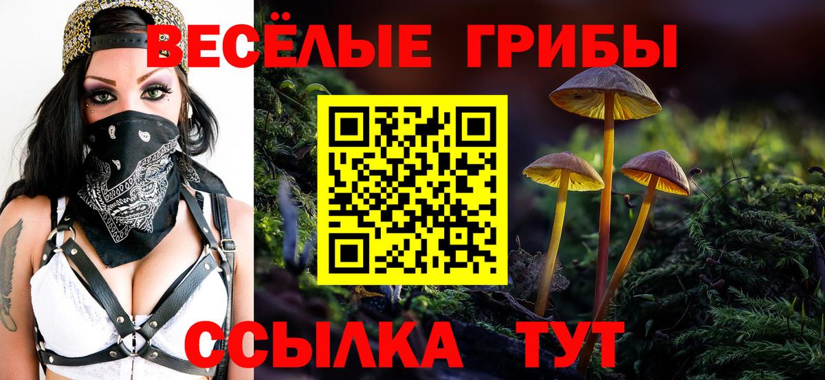 Бузулук  Галлюциногенные грибы Psilocybine cubensis  Вход с VPN 